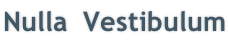 Nulla &nbsp;Vestibulum